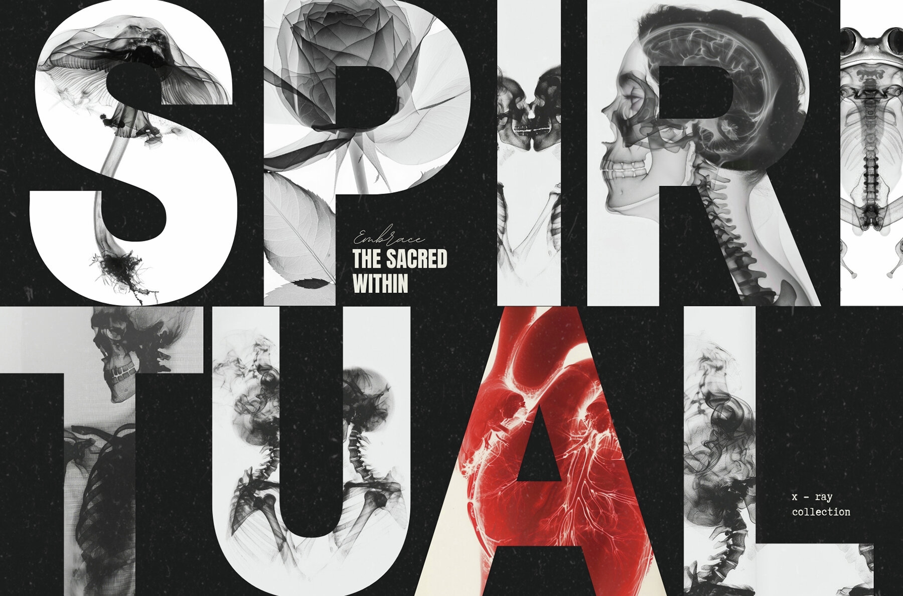 55 Immortal X ray Print Posters 5