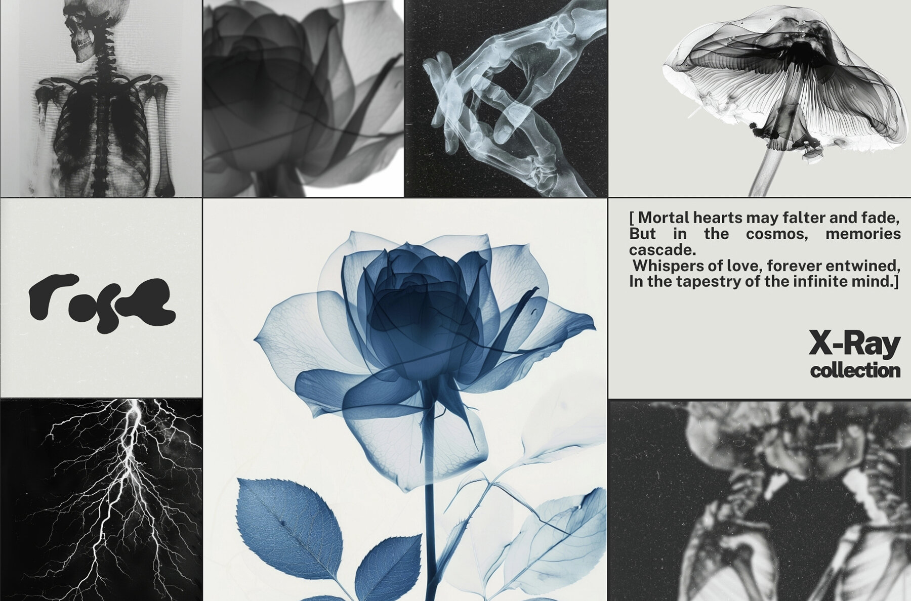 55 Immortal X ray Print Posters 10