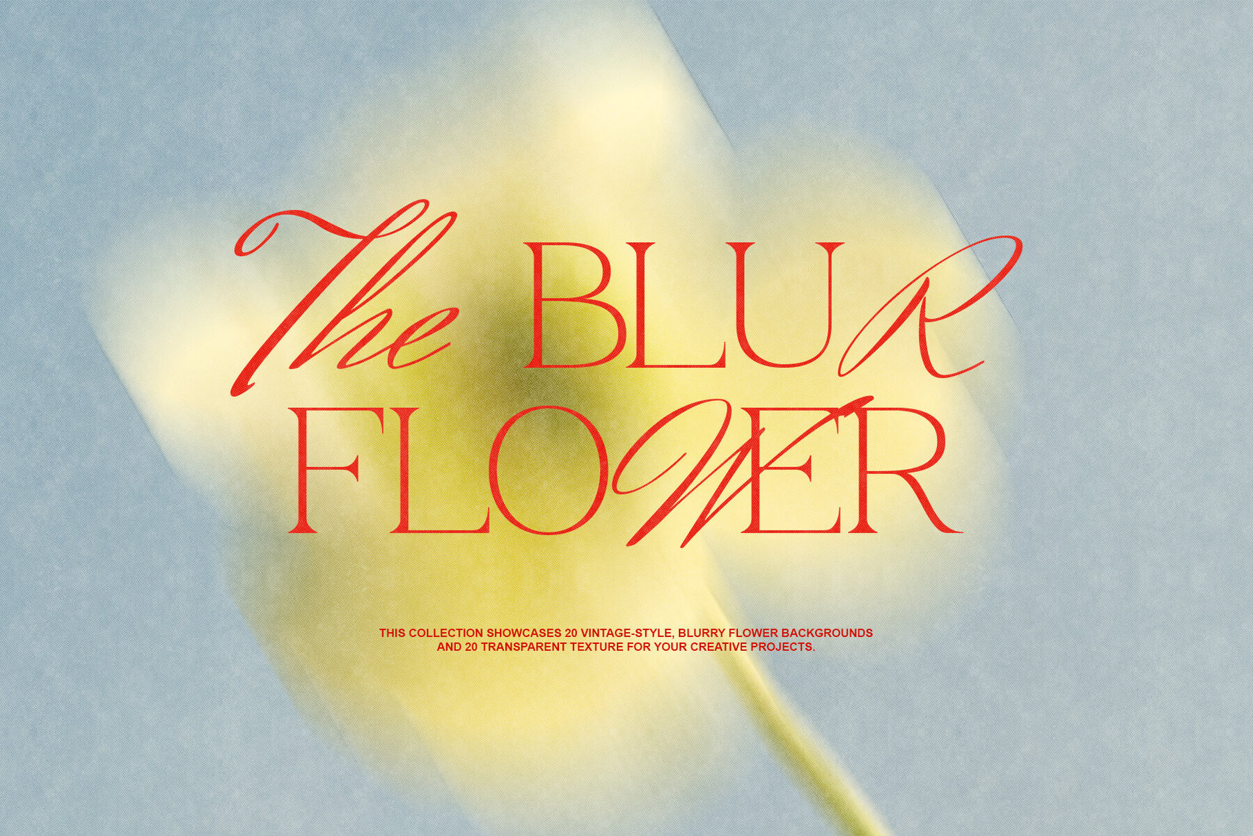 The Blurry Flowers 1