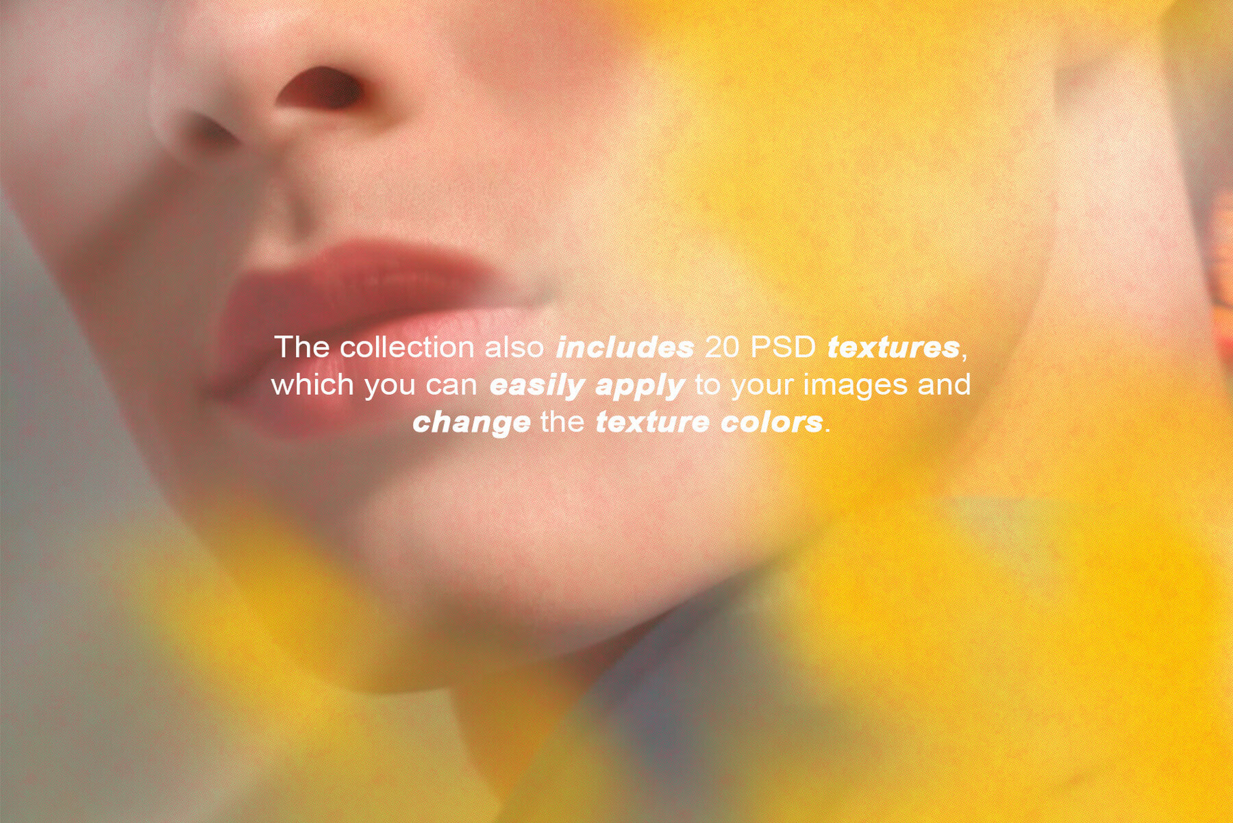 The Blurry Flowers 3