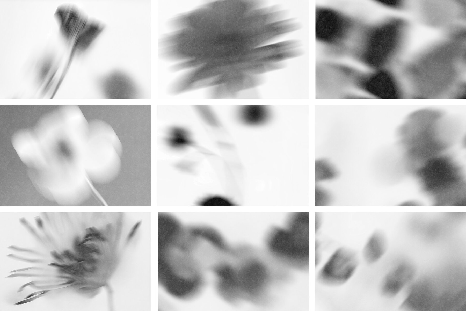 The Blurry Flowers 11