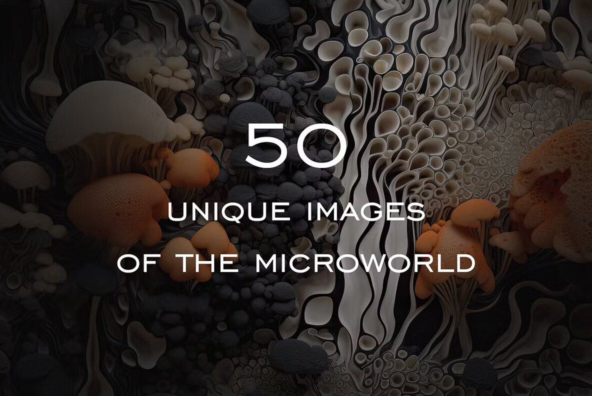 Microcosm Poster collection 4