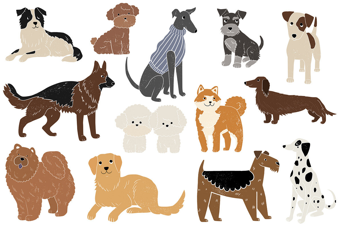 Friends 23 Different Dog Breeds 4