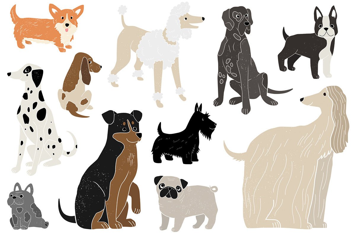 Friends 23 Different Dog Breeds 5