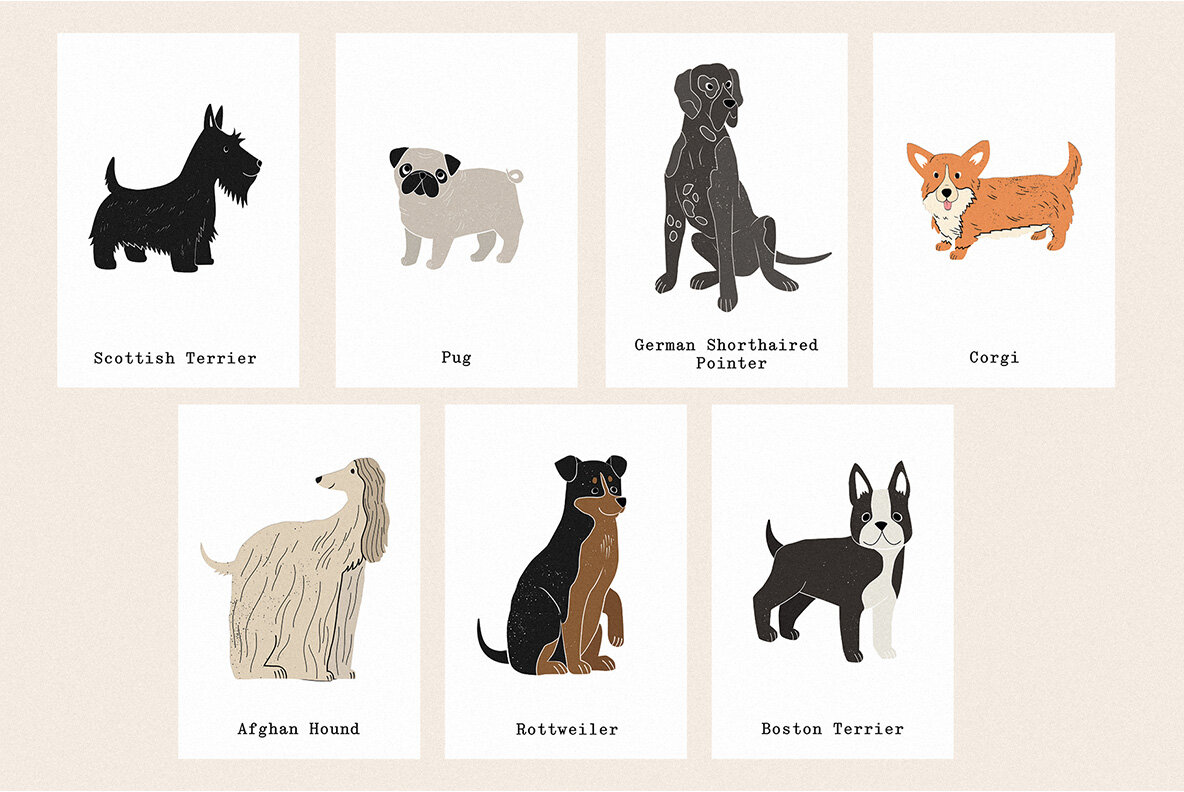 Friends 23 Different Dog Breeds 6