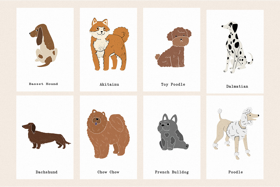 Friends 23 Different Dog Breeds 7