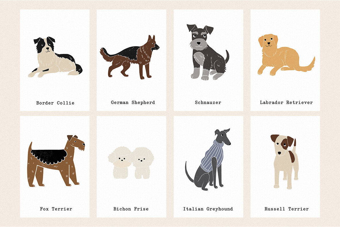 Friends 23 Different Dog Breeds 8