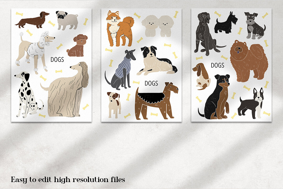 Friends 23 Different Dog Breeds 12
