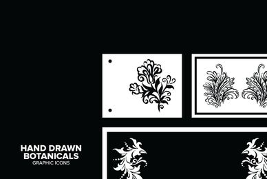 Hand Drawn Botanicals