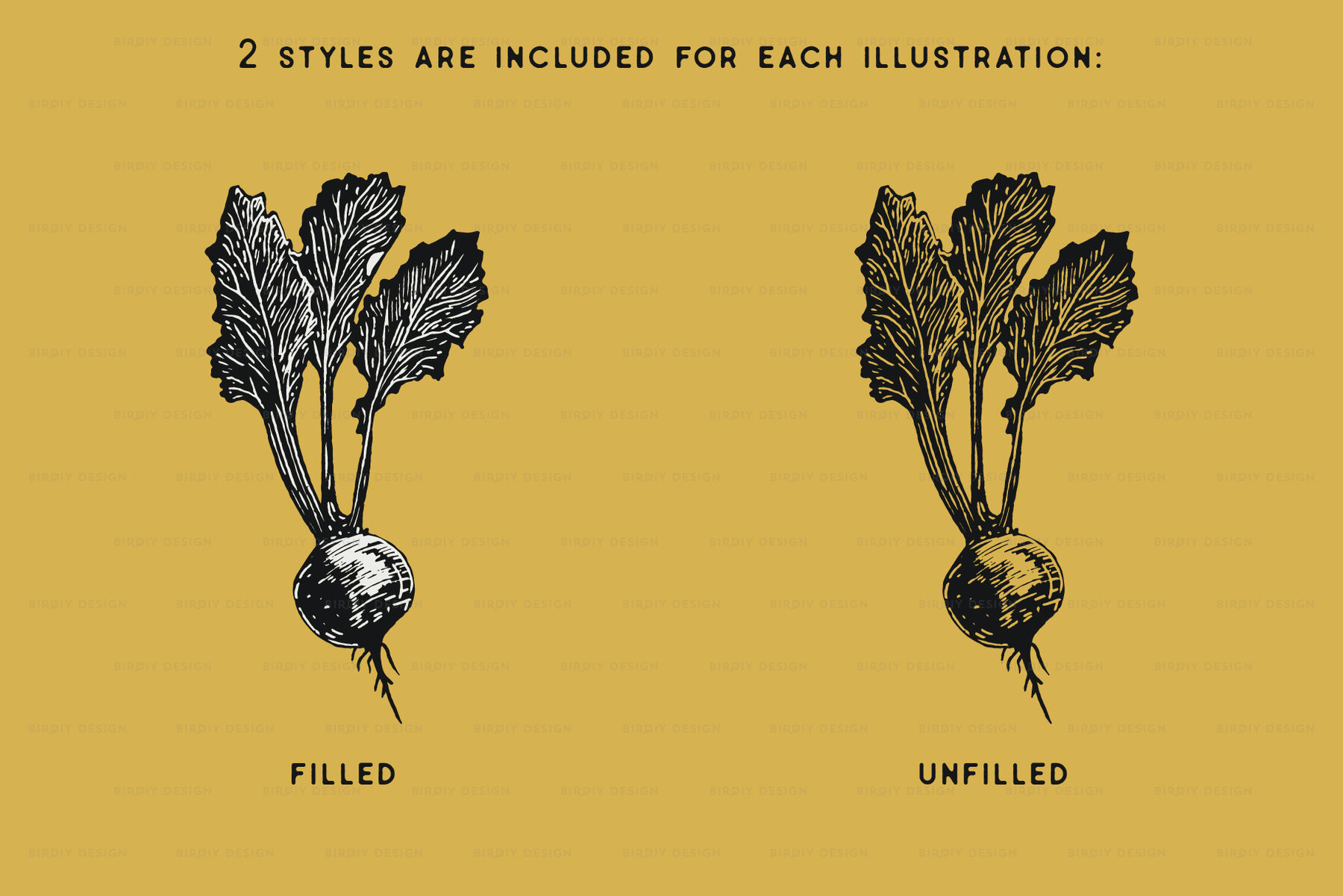 Fruit and Vegetable Illustrations 6