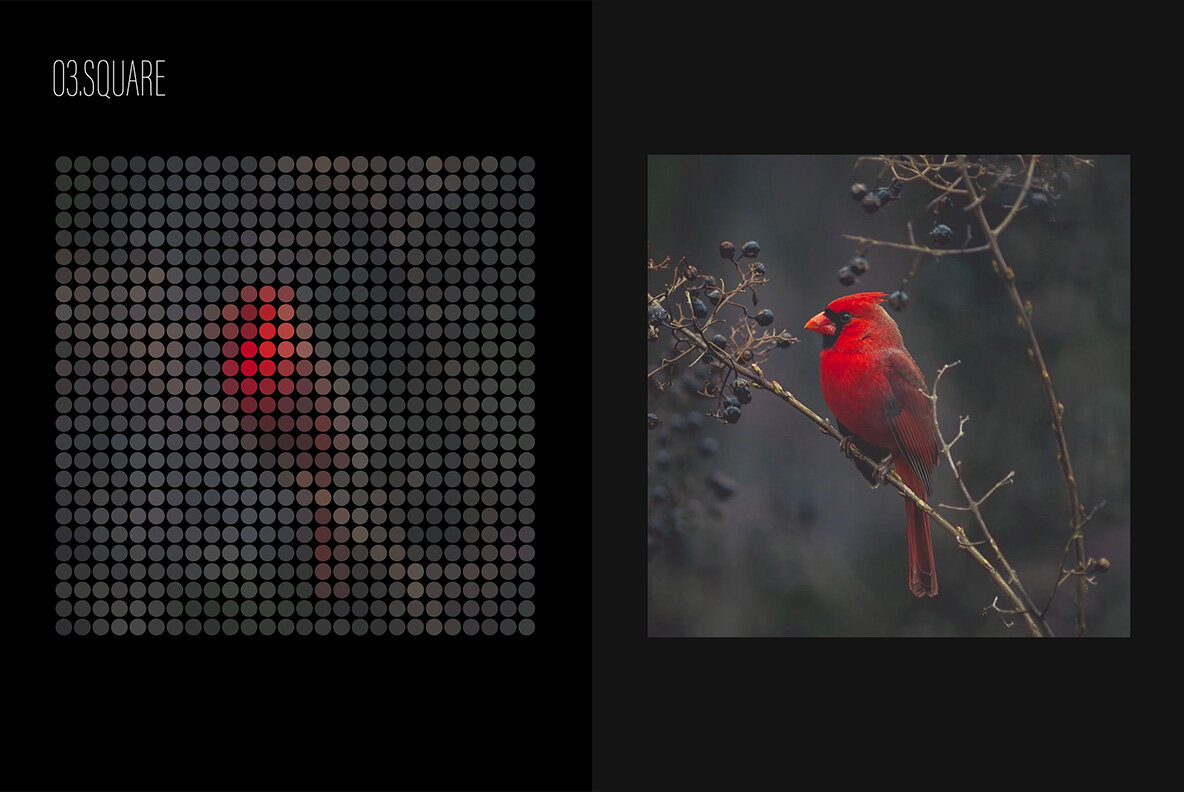 Mosaic Photoshop Effect 7