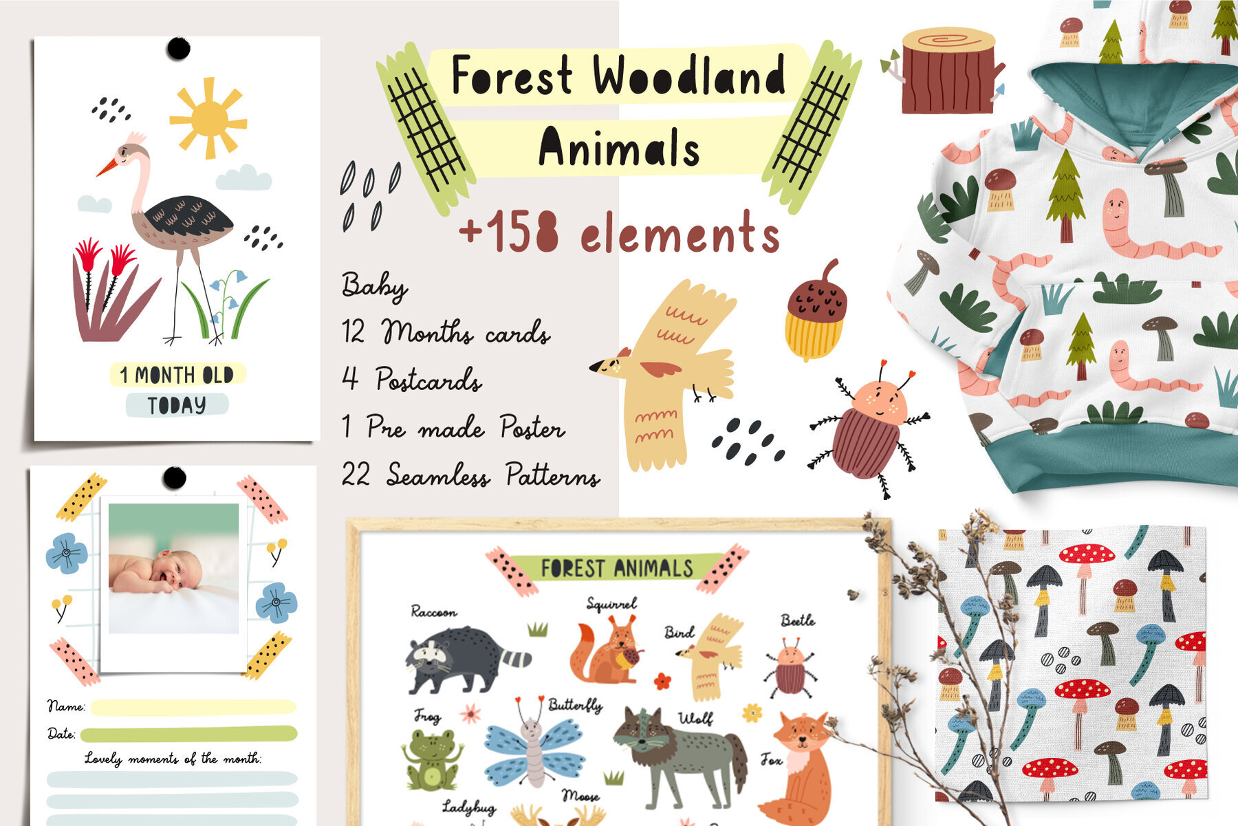 Forest Woodland Animals 1