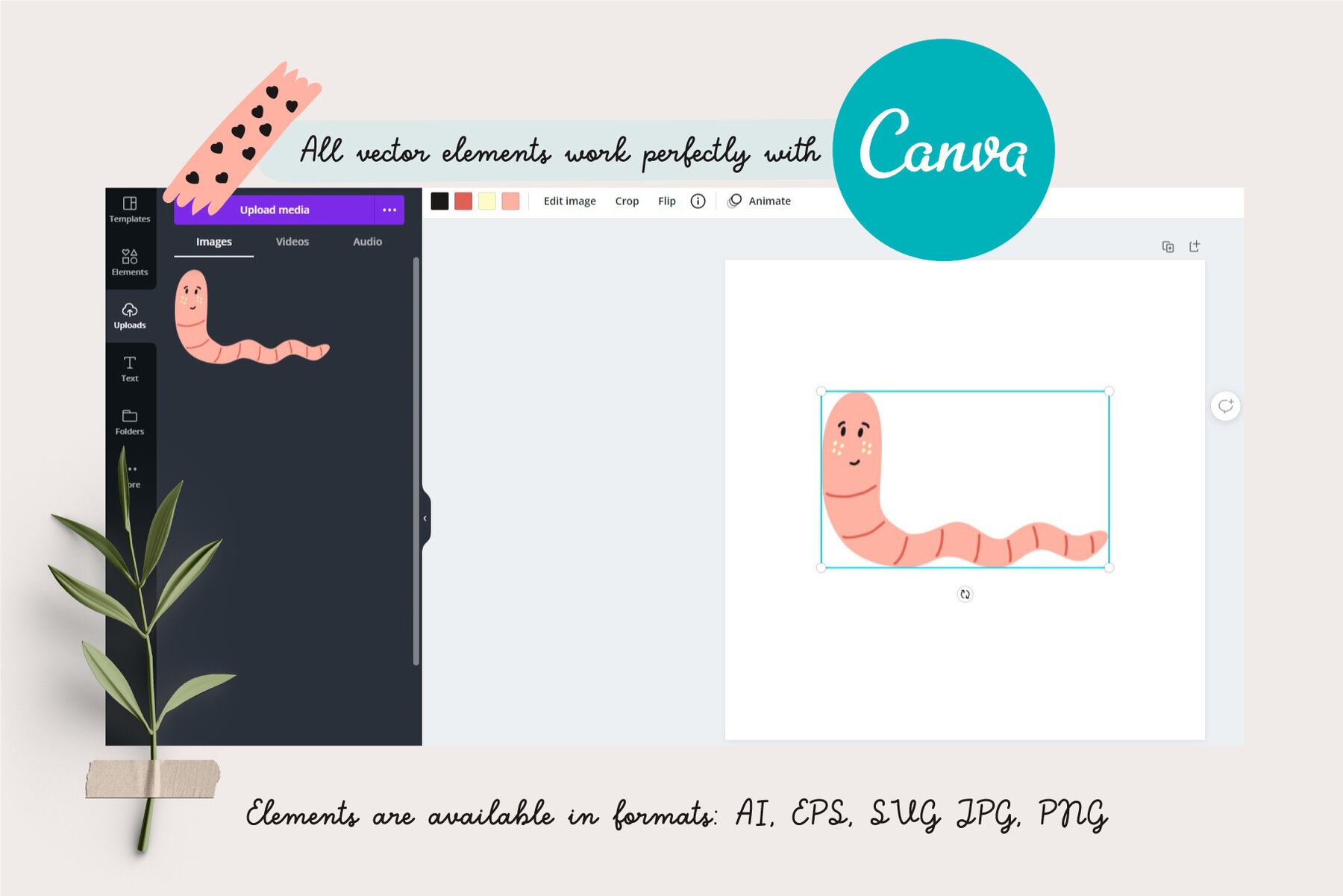 Forest Woodland Animals 6