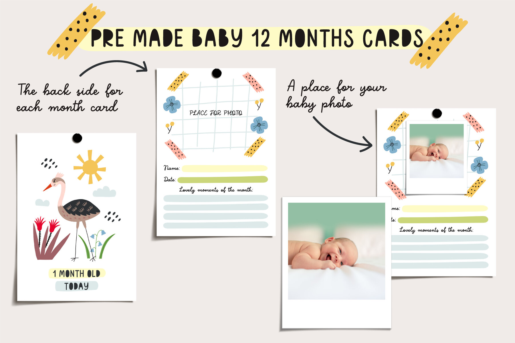 Forest Woodland Animals 7