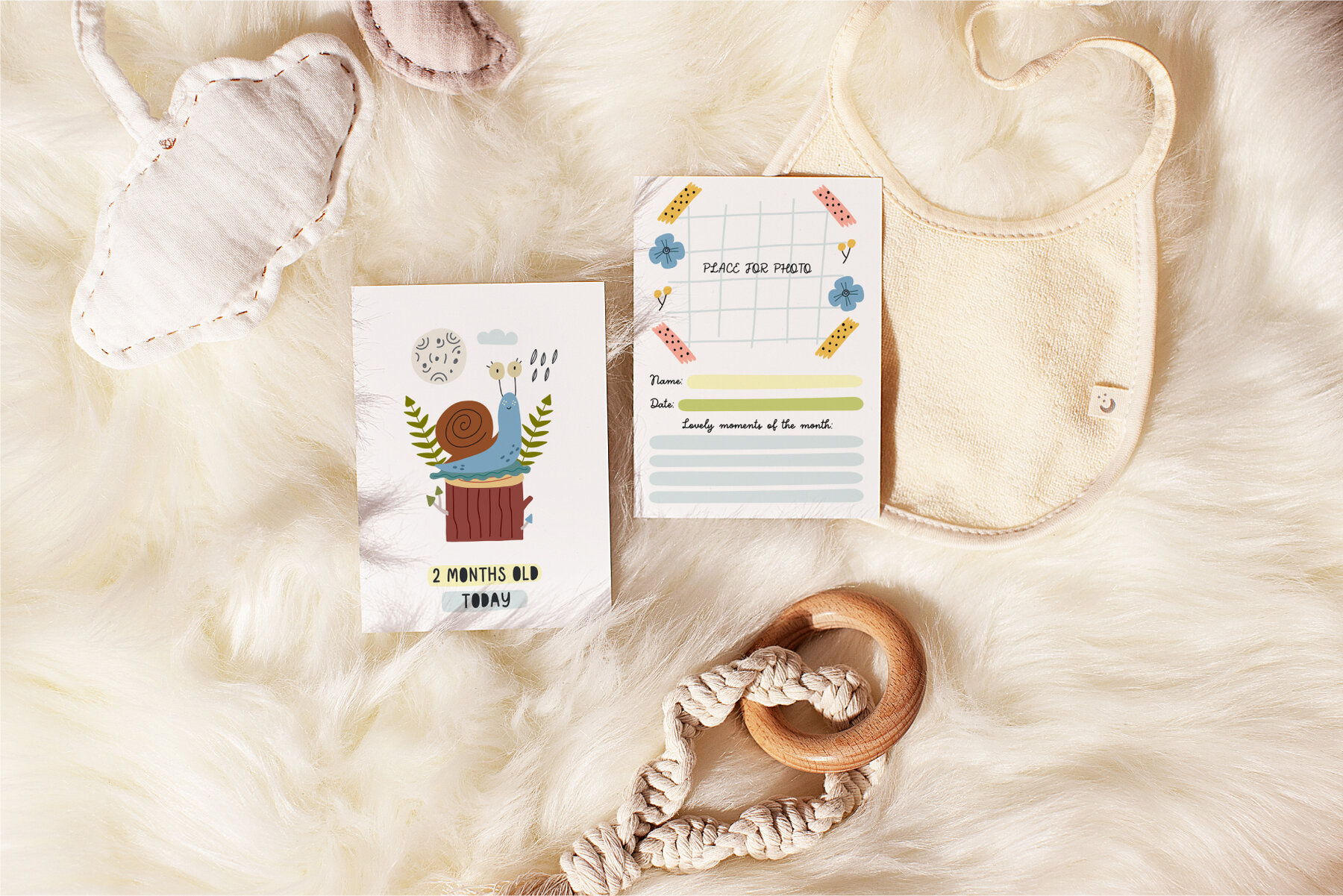 Forest Woodland Animals 8