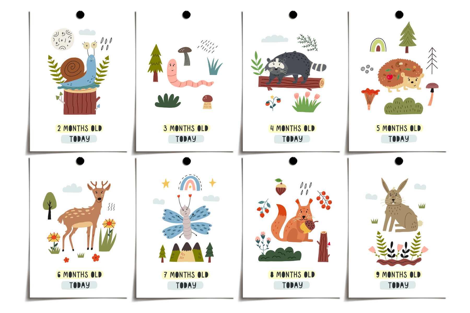 Forest Woodland Animals 9