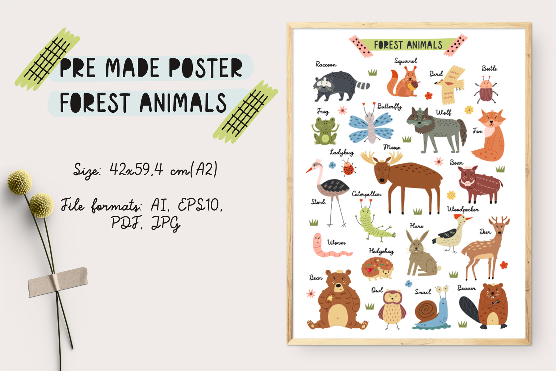 Forest Woodland Animals 11