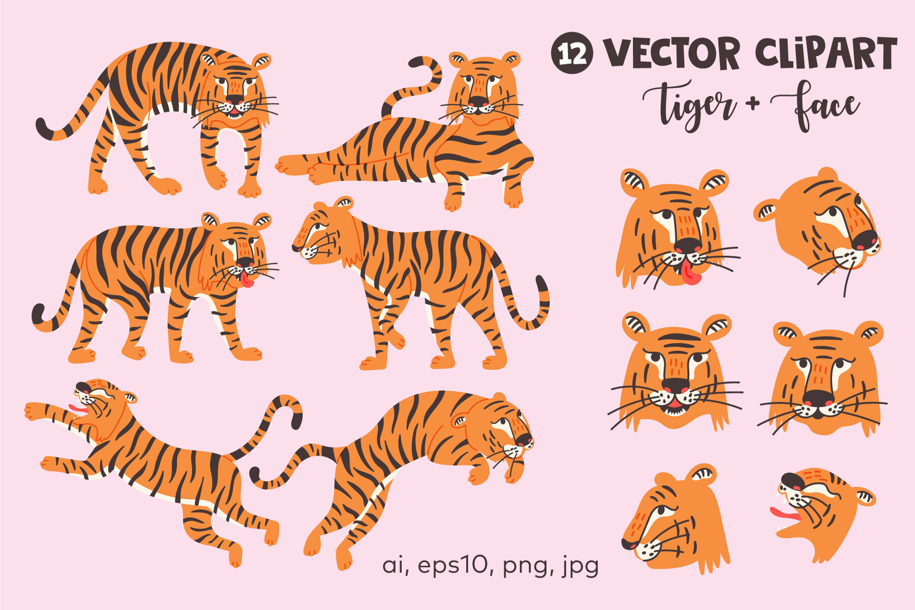 Tigers Collection 2