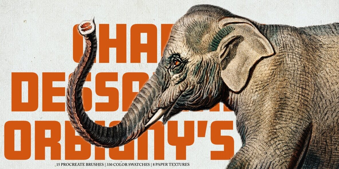 Hand Colored Engraving Procreate Kit 1