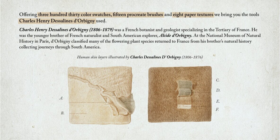 Hand Colored Engraving Procreate Kit 2