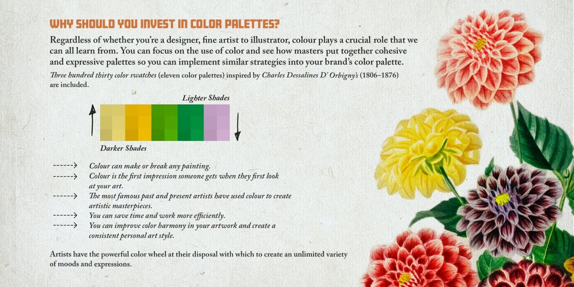 Hand Colored Engraving Procreate Kit 3