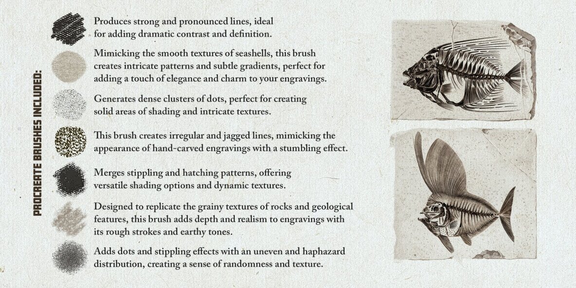 Hand Colored Engraving Procreate Kit 6