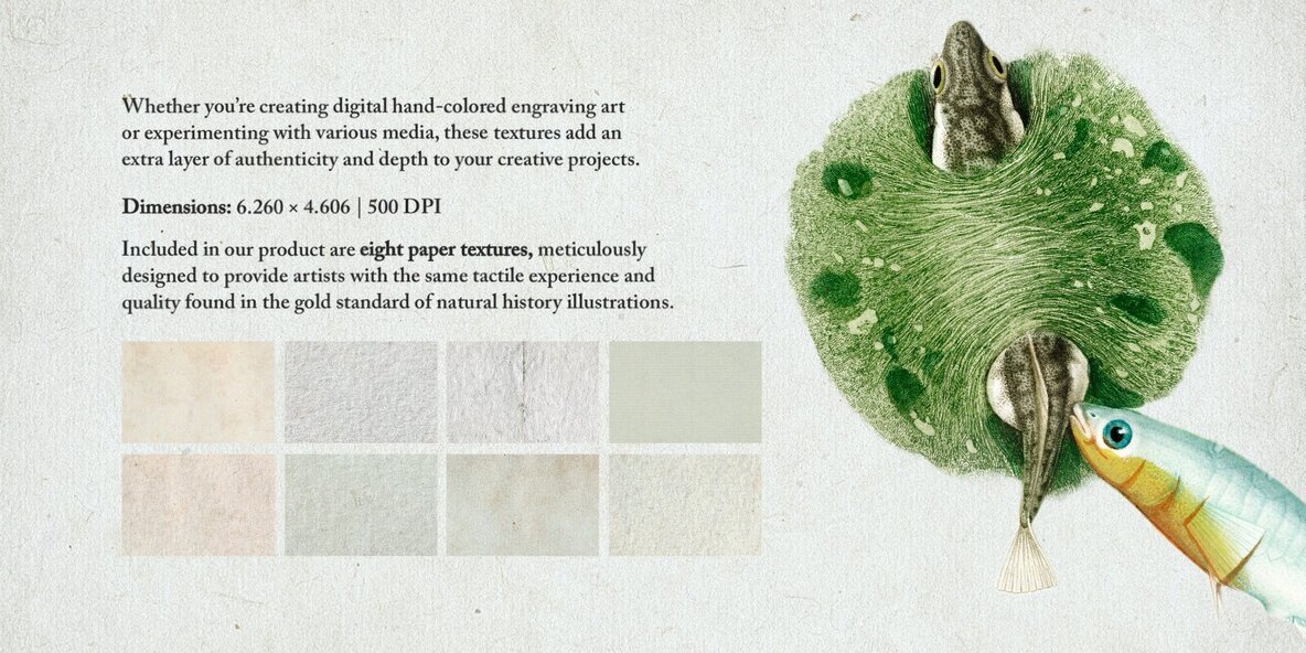 Hand Colored Engraving Procreate Kit 7