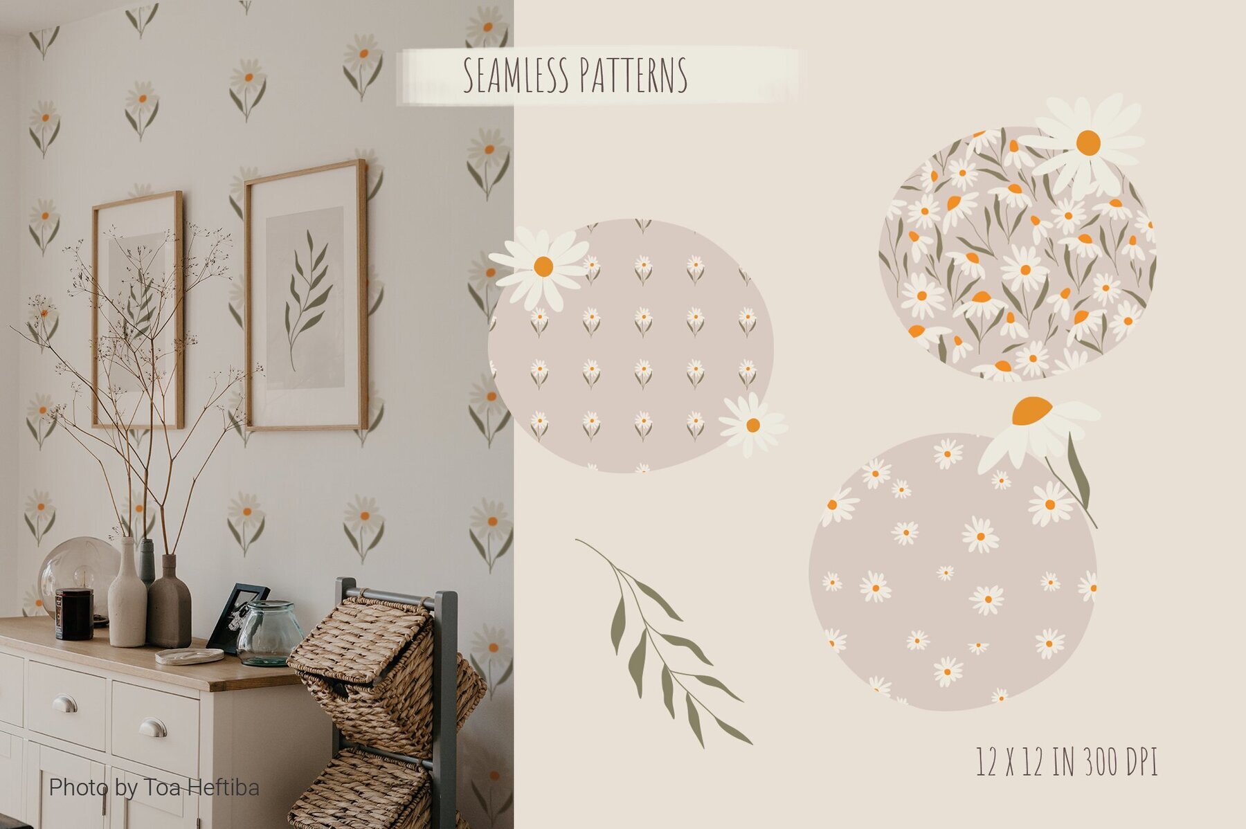 Set of daisies flowers 3