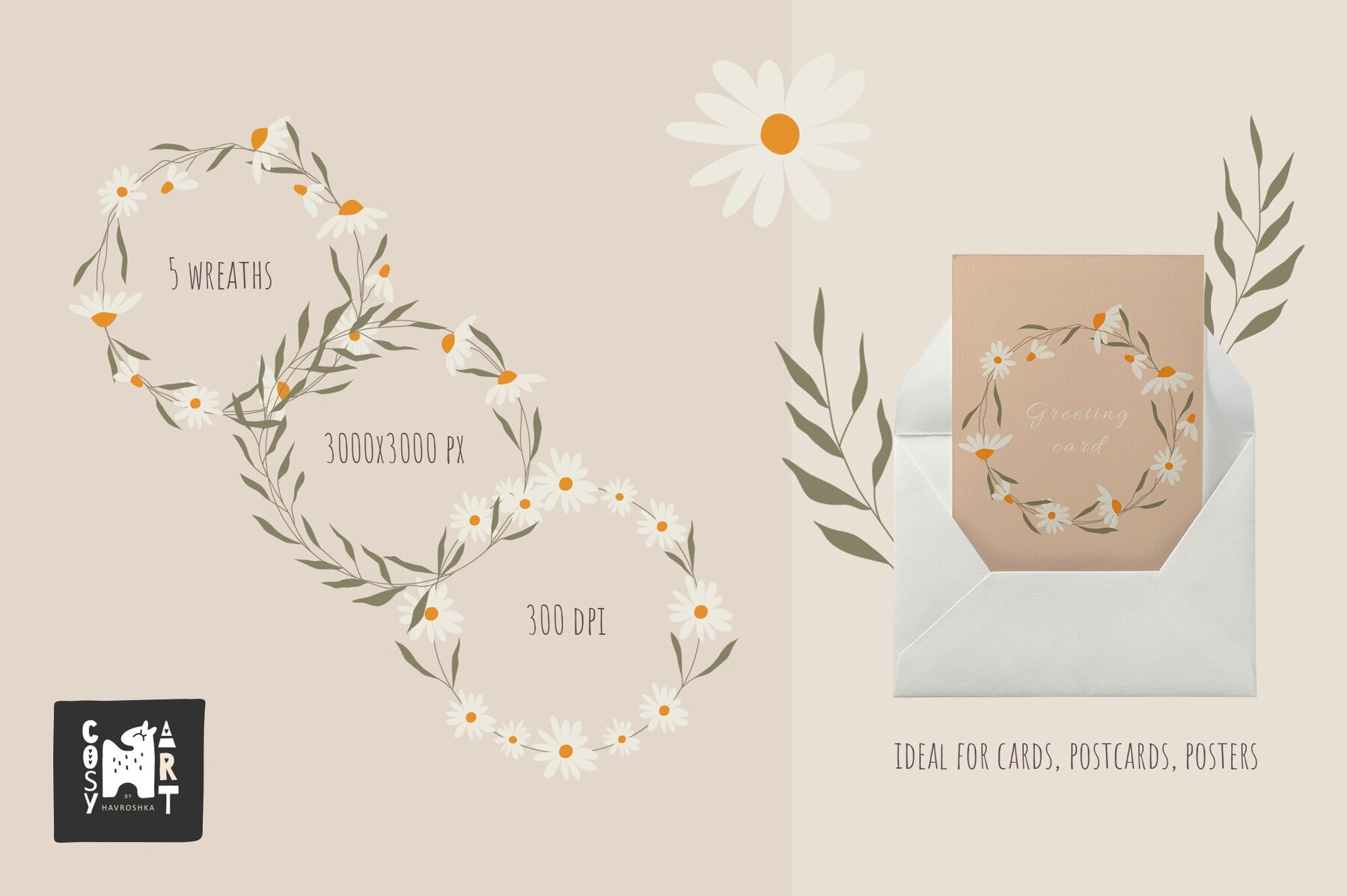 Set of daisies flowers 4