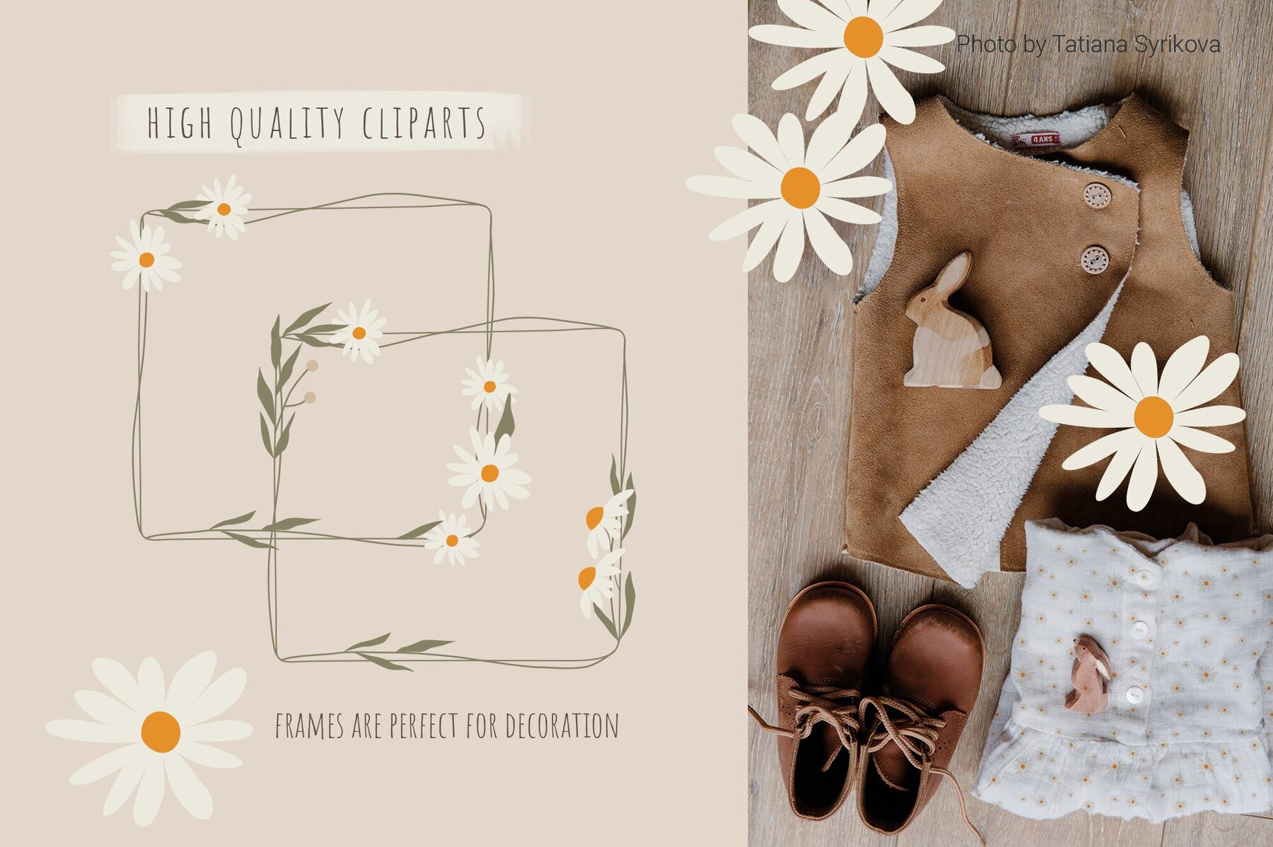 Set of daisies flowers 5