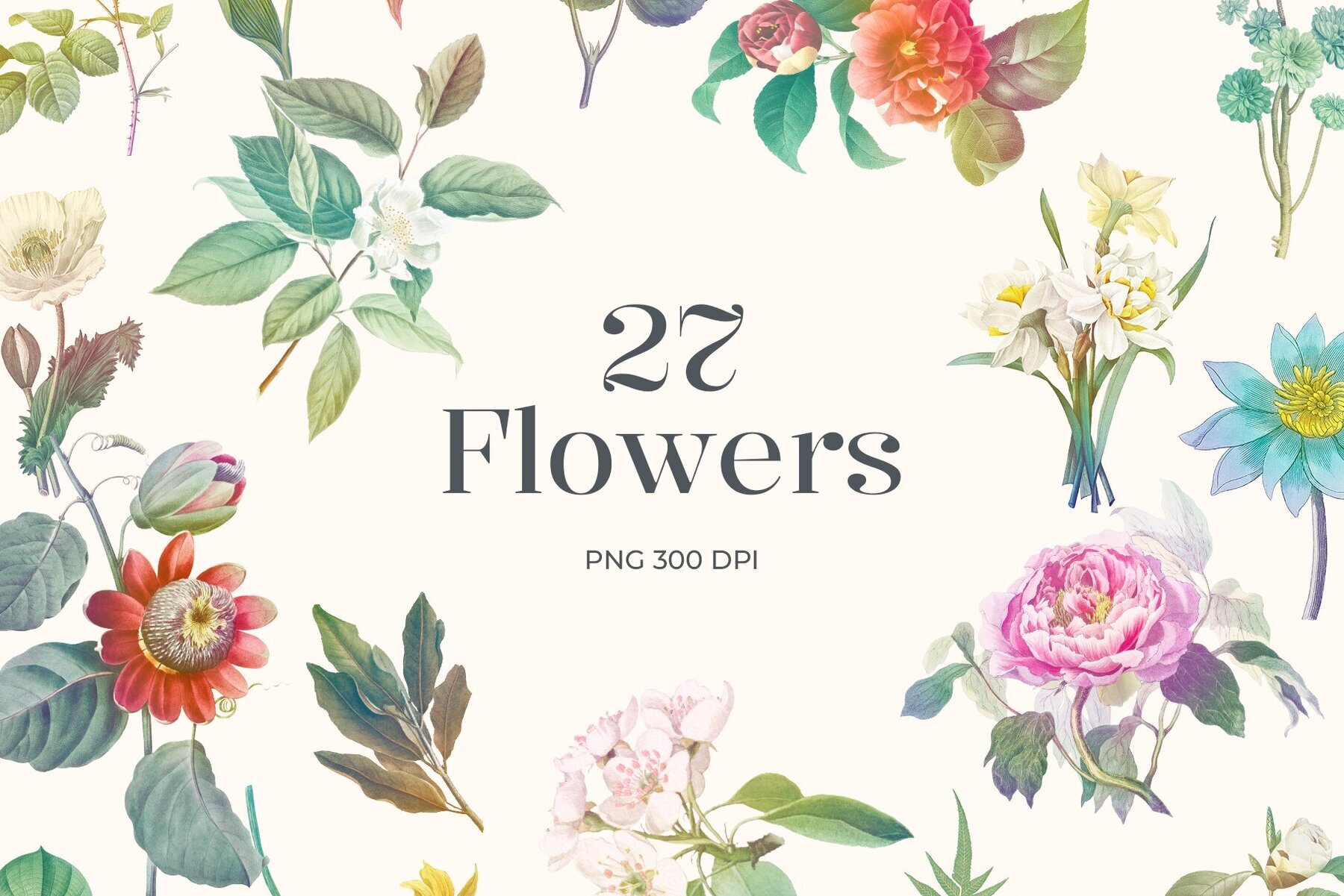 Rainbow Garden Cutout Clipart 2