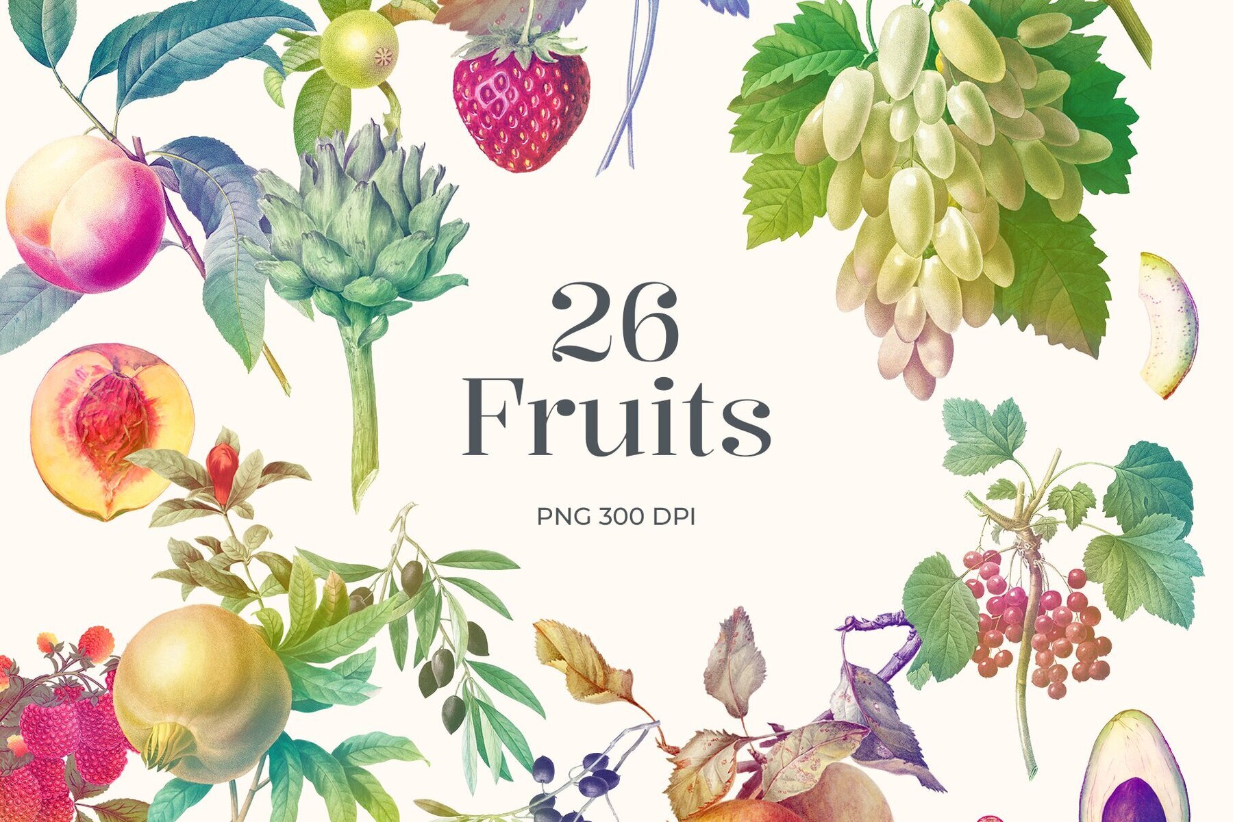 Rainbow Garden Cutout Clipart 3