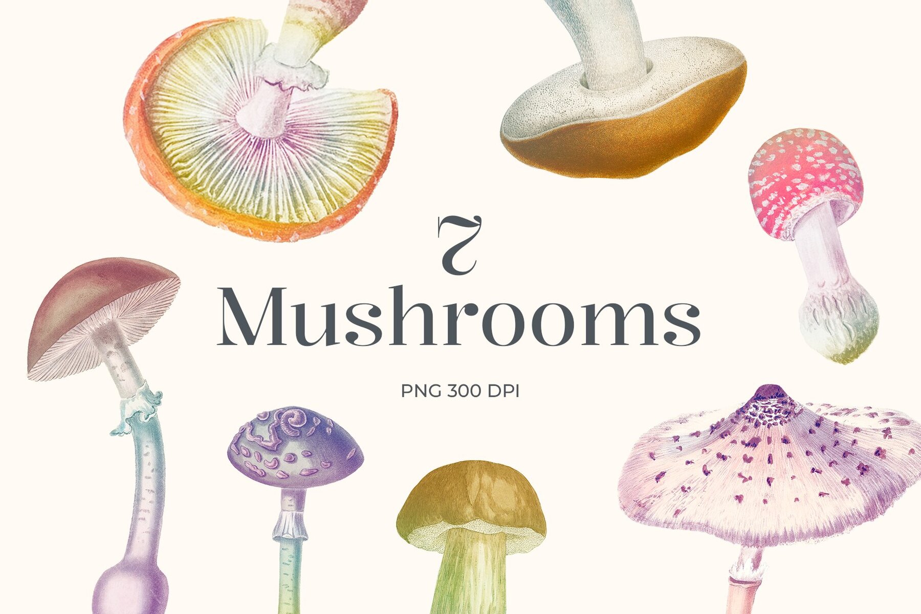 Rainbow Garden Cutout Clipart 4