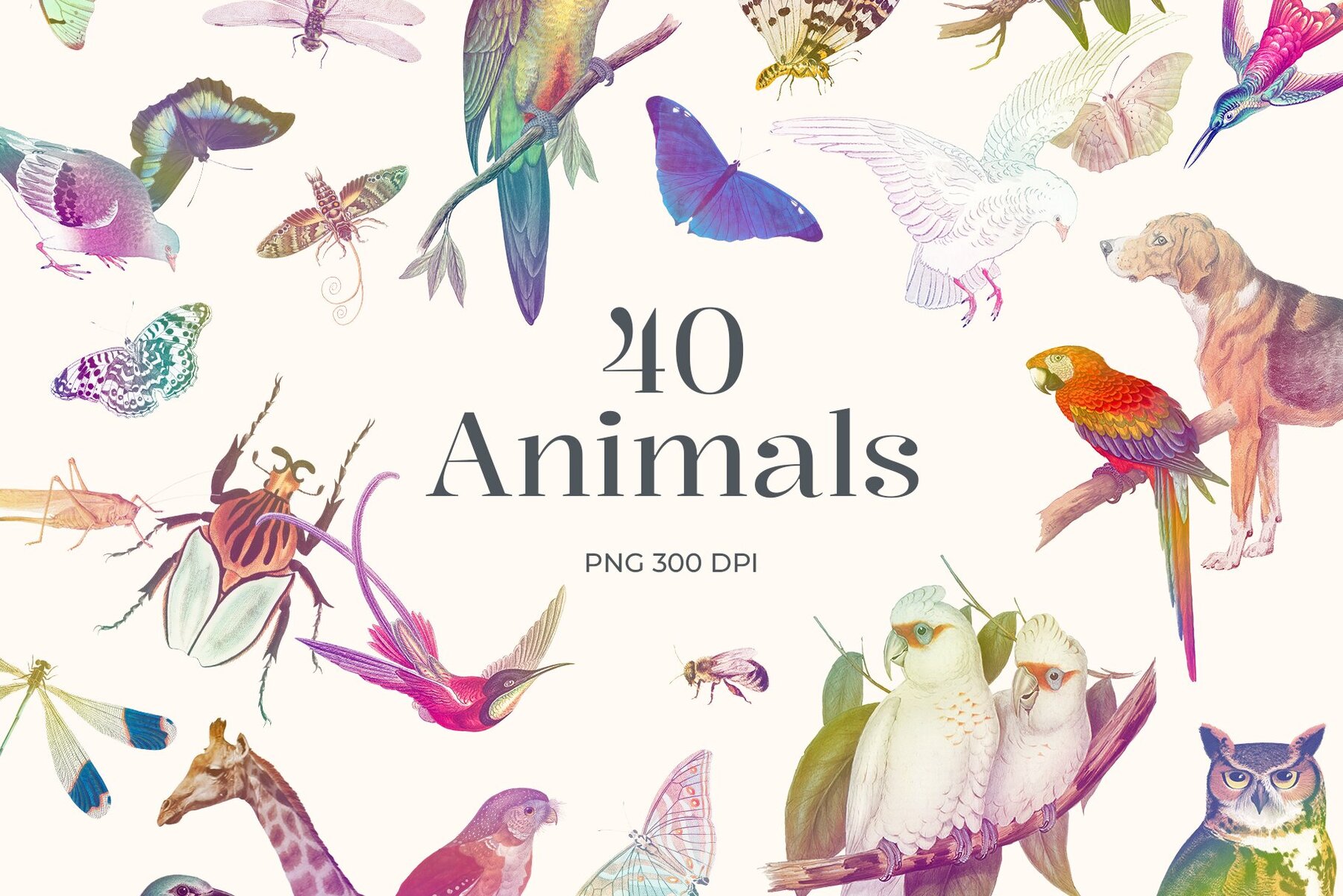 Rainbow Garden Cutout Clipart 5