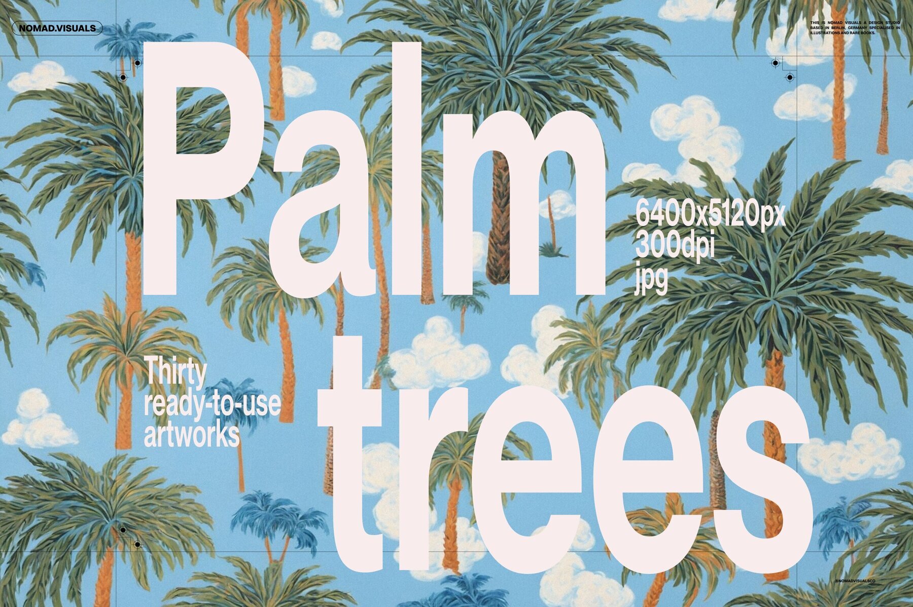 Palm Trees Illustrations 1