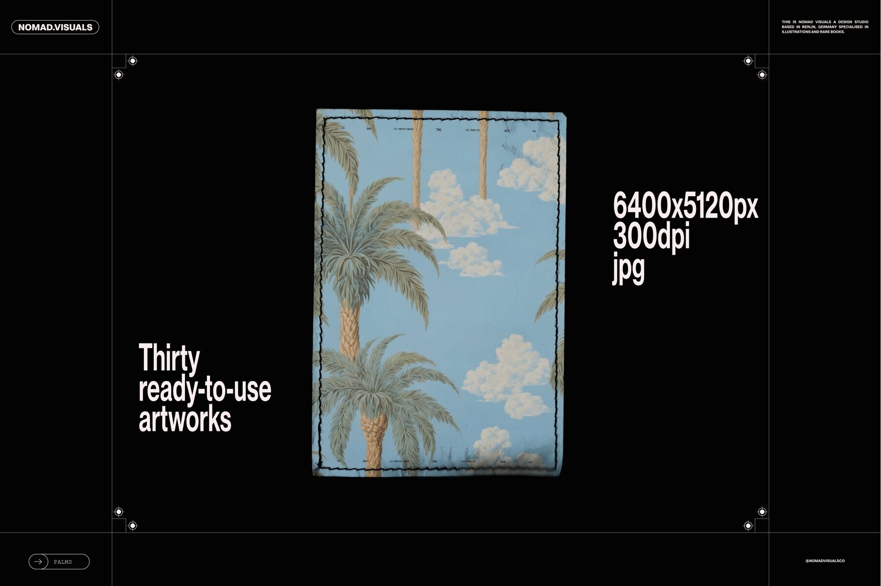 Palm Trees Illustrations 8