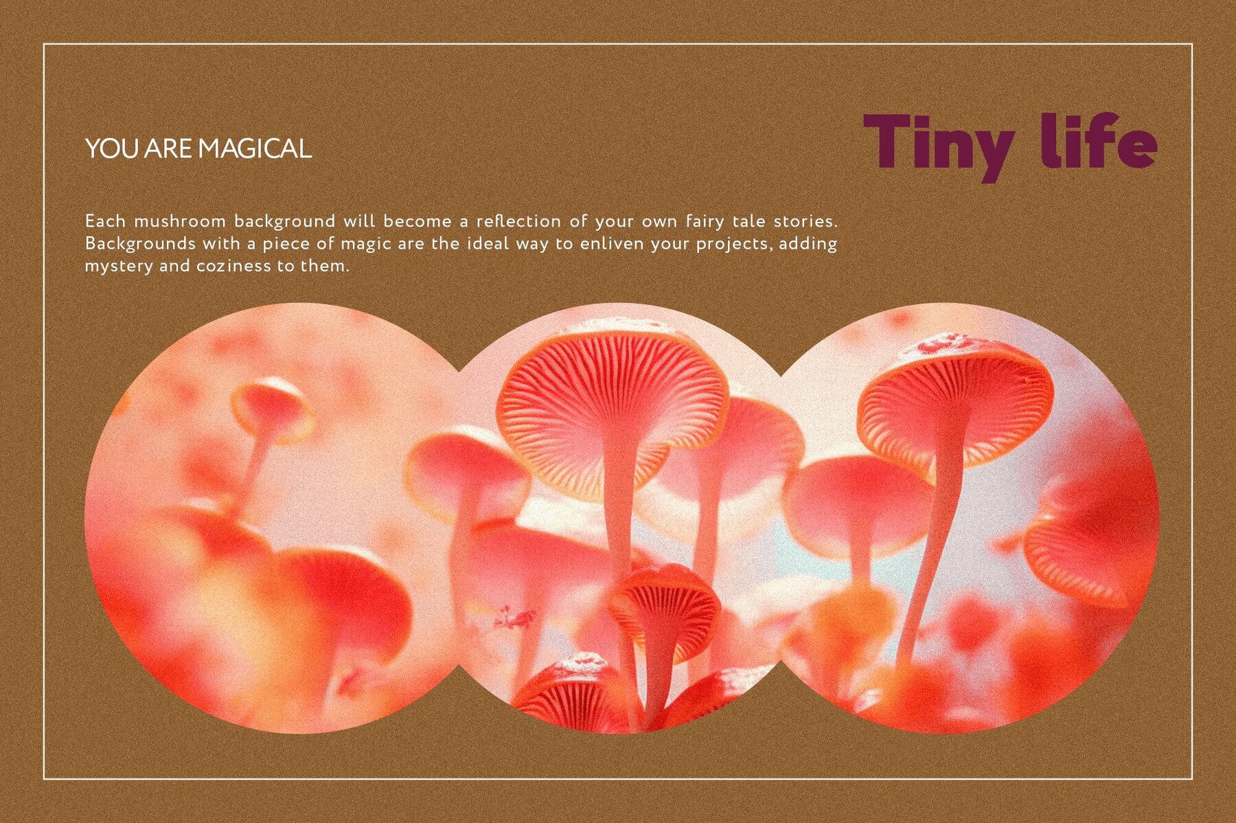 Magic World Mushroom Backgrounds 3