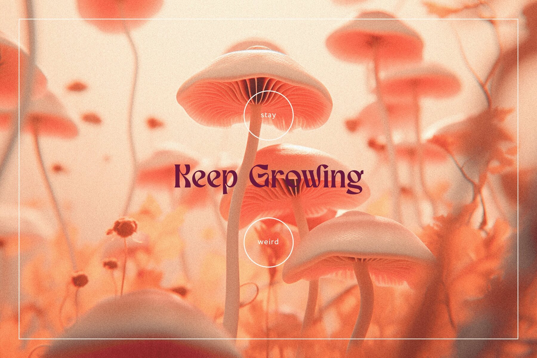 Magic World Mushroom Backgrounds 4