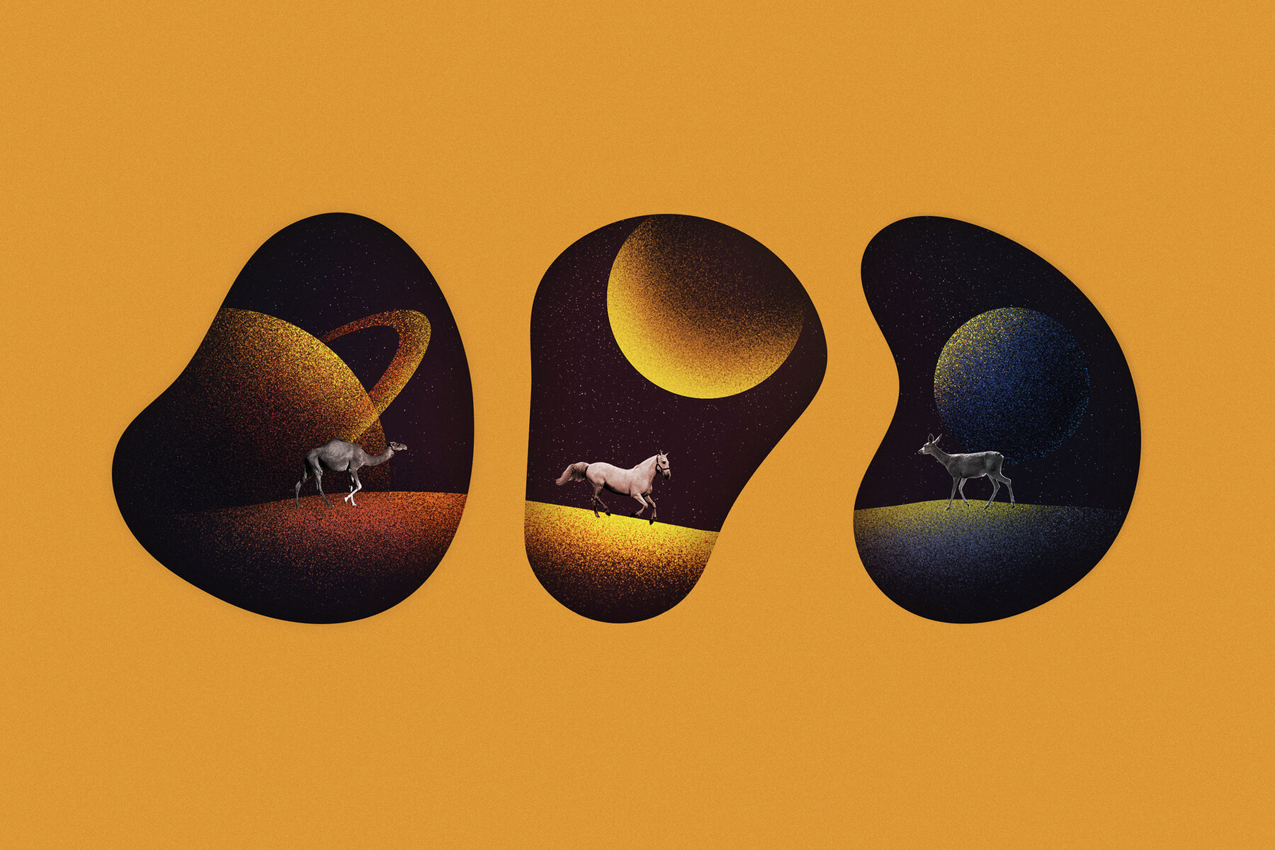 9 in 1 Illustrator Brushes Bundle 6