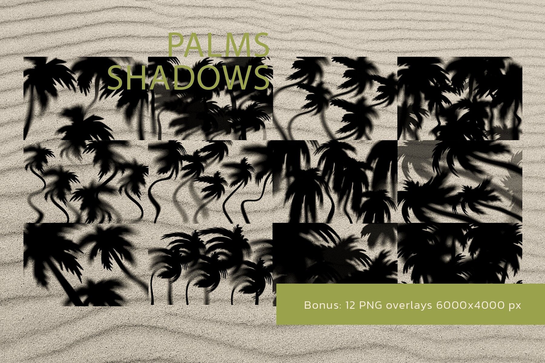 Sombra De Palmera Summer Backgrounds 3