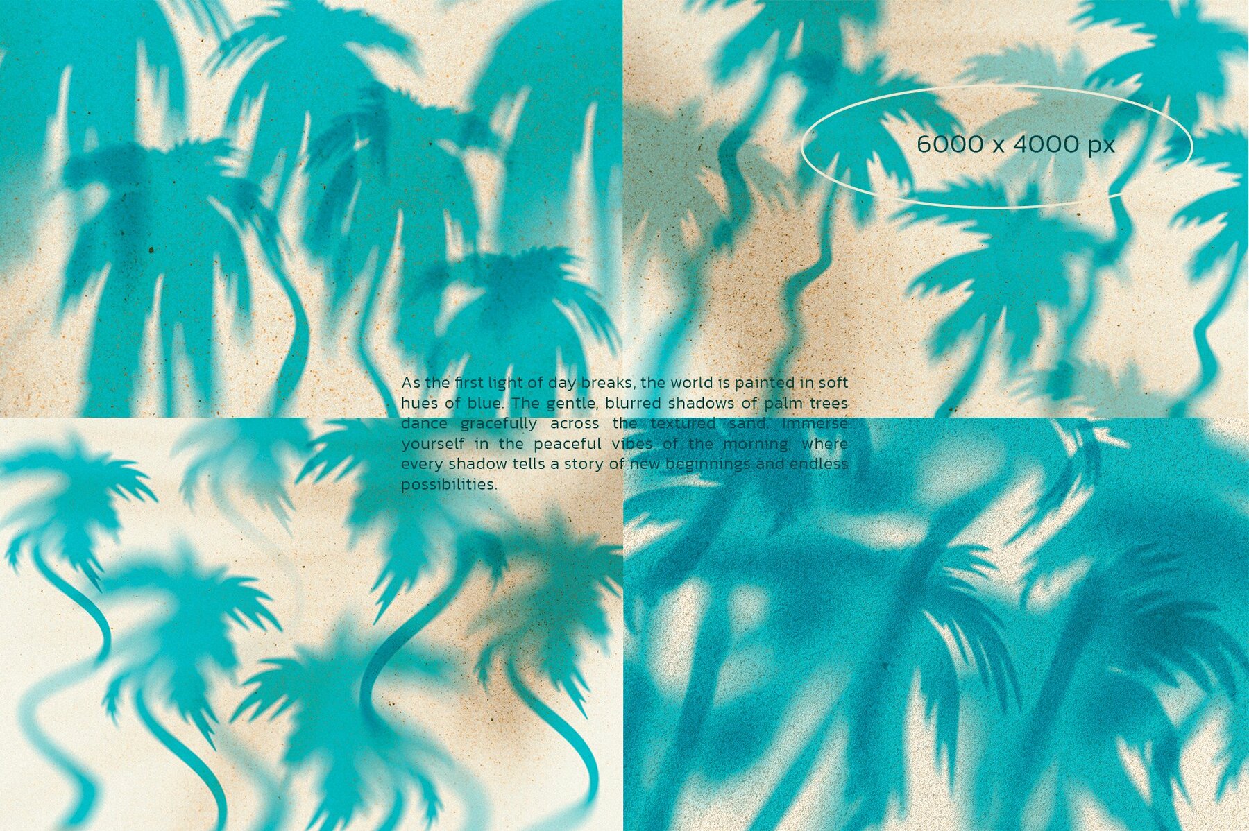 Sombra De Palmera Summer Backgrounds 6