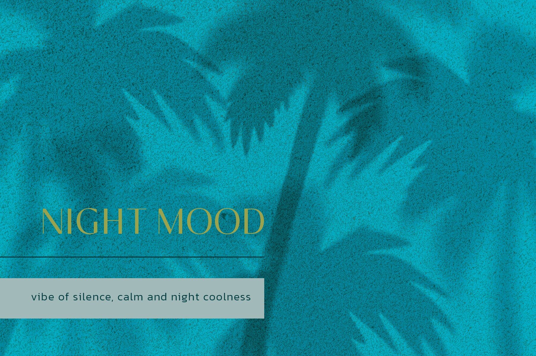 Sombra De Palmera Summer Backgrounds 11