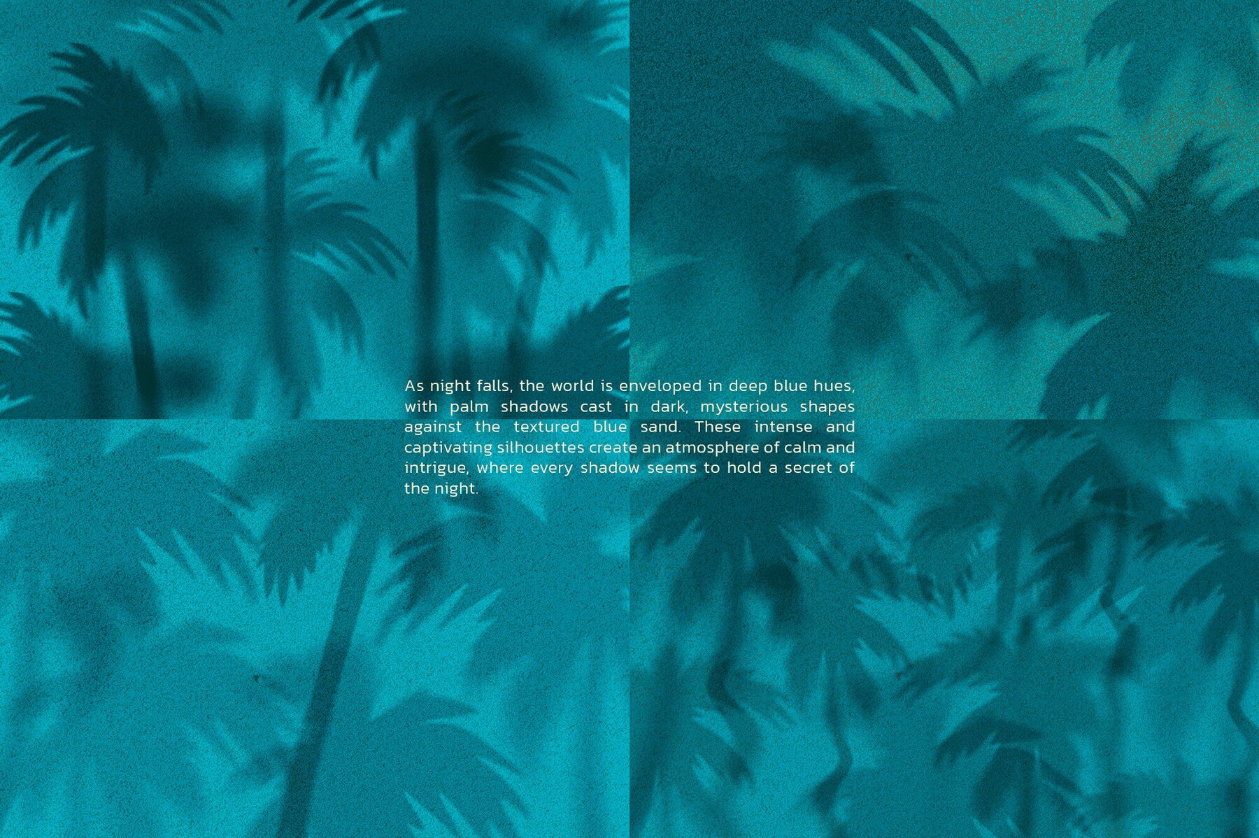 Sombra De Palmera Summer Backgrounds 12