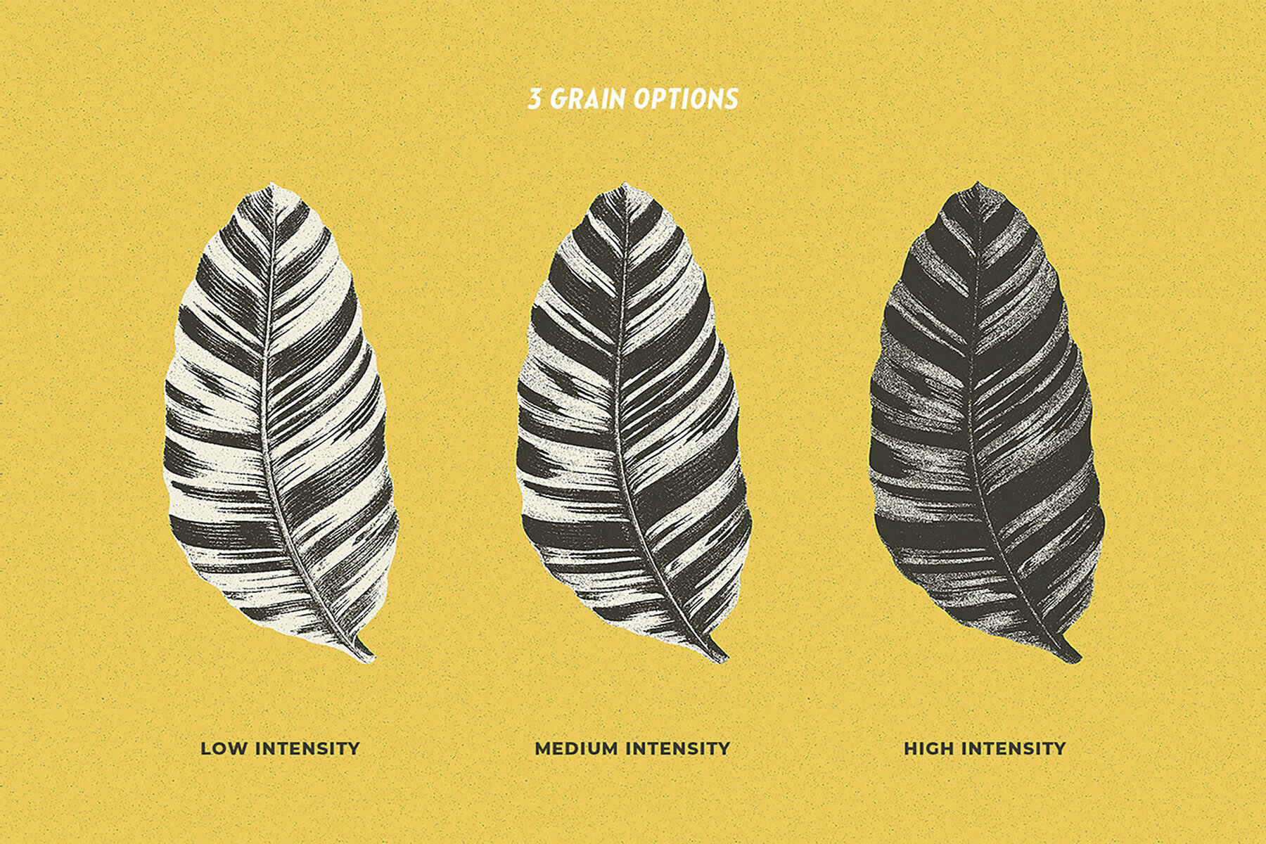 Photoshop Actions Bundle 31