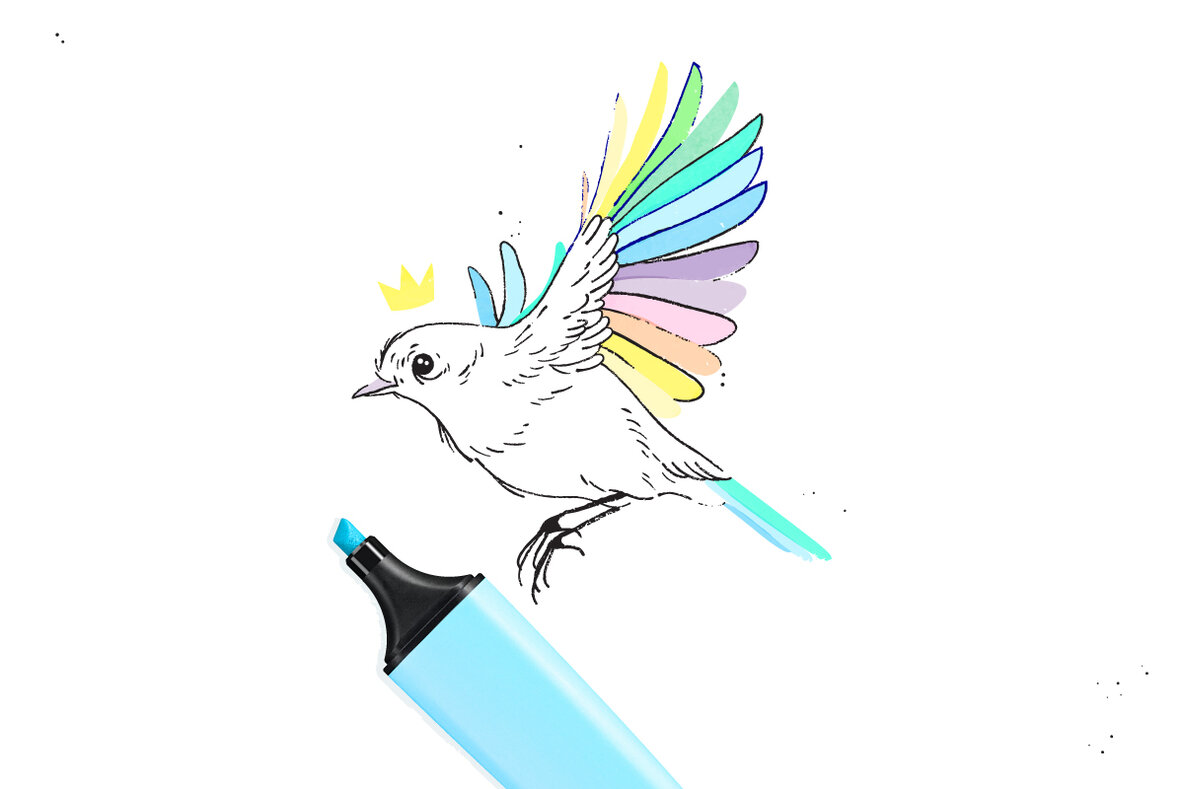 Highlighter Brushes 5