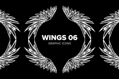 Wings 06