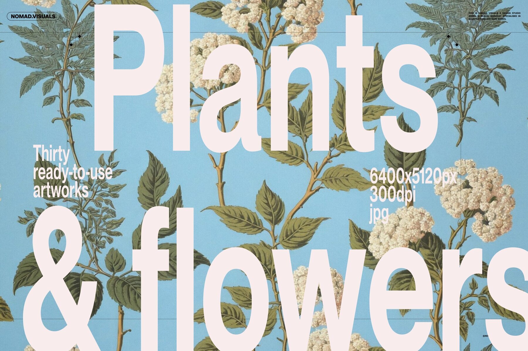 Plants   Flowers Collection 1