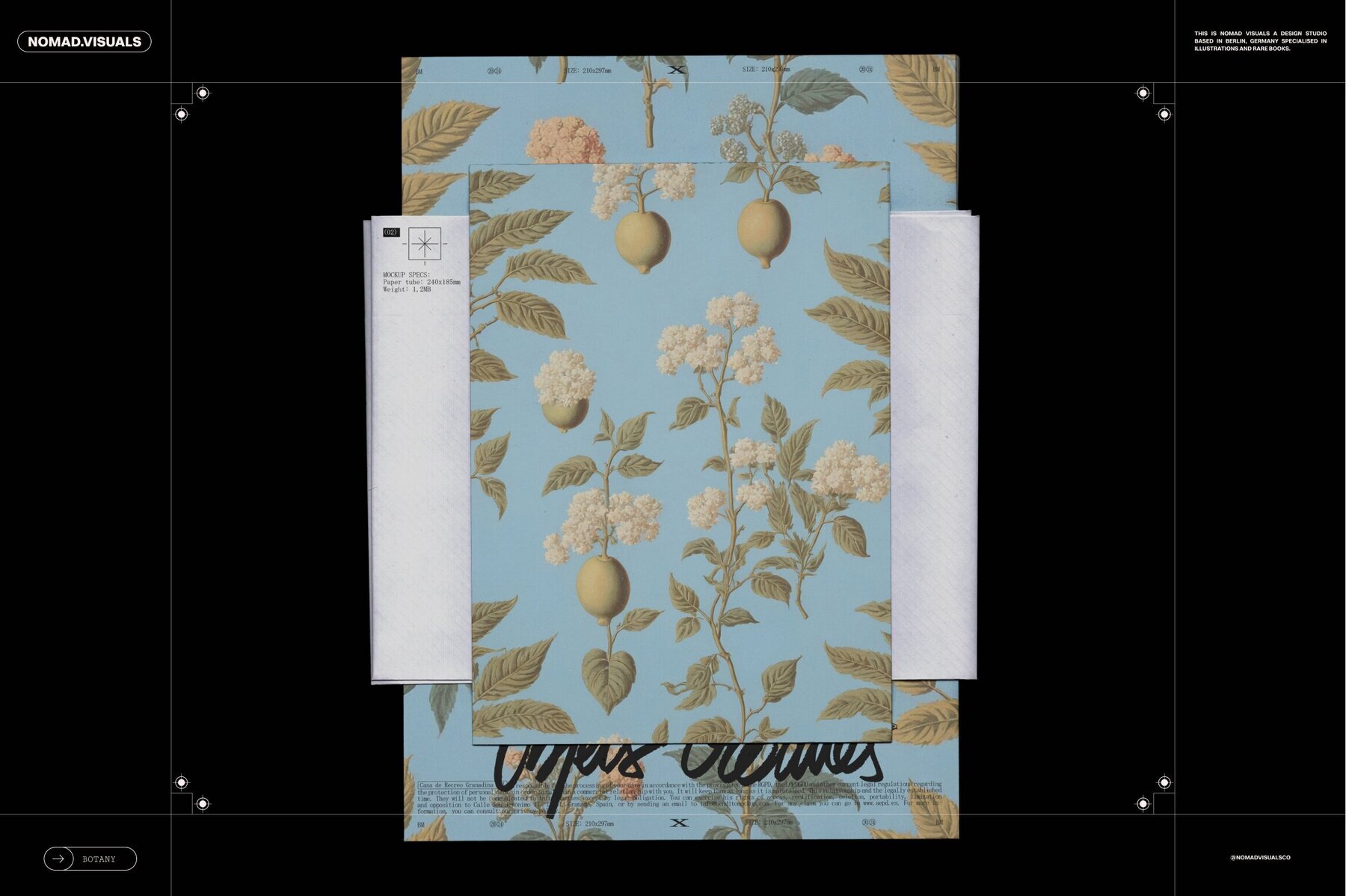 Plants   Flowers Collection 2