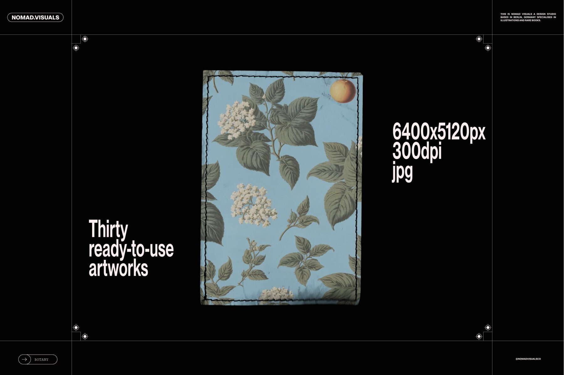 Plants   Flowers Collection 3