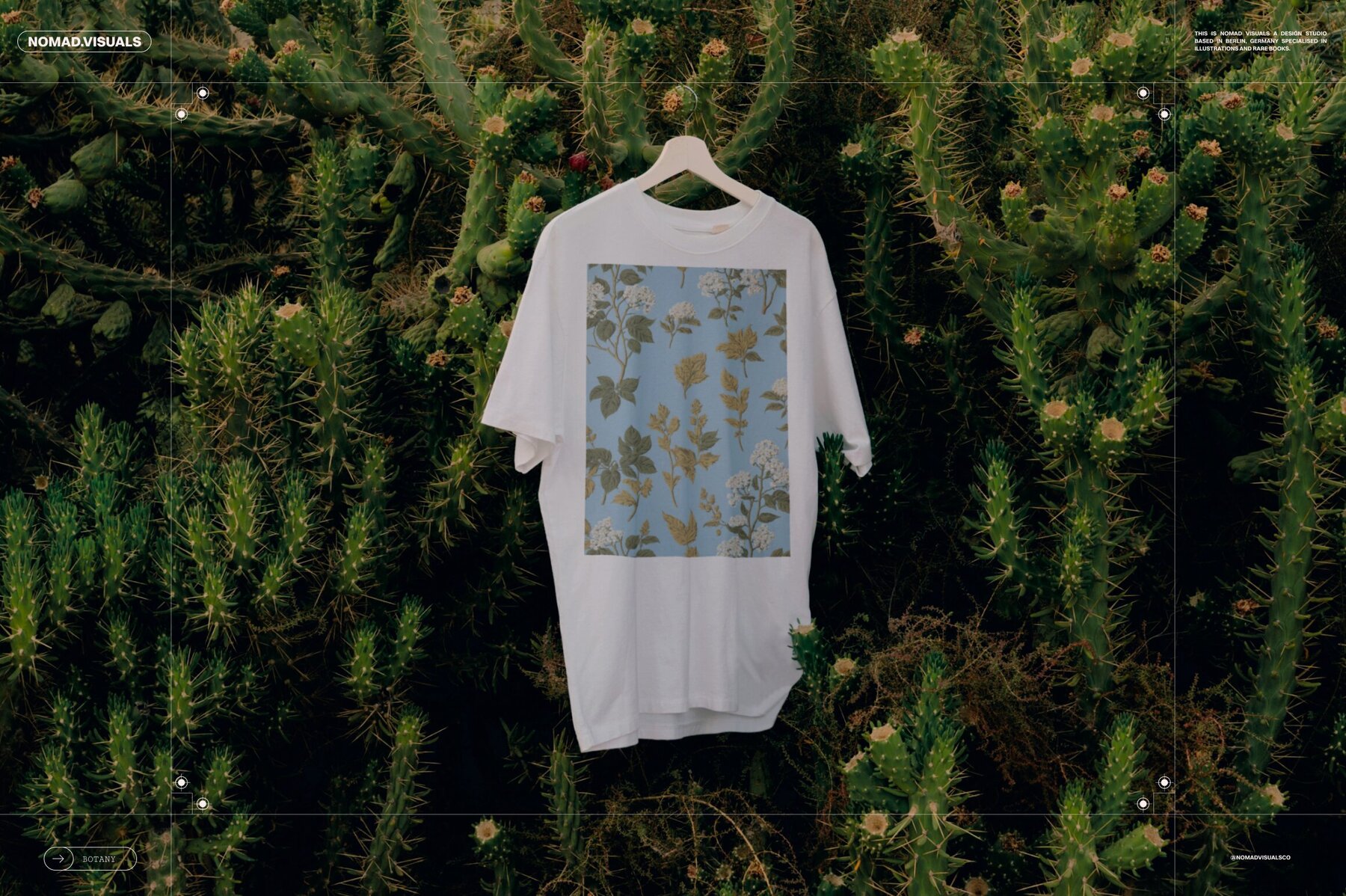 Plants   Flowers Collection 4